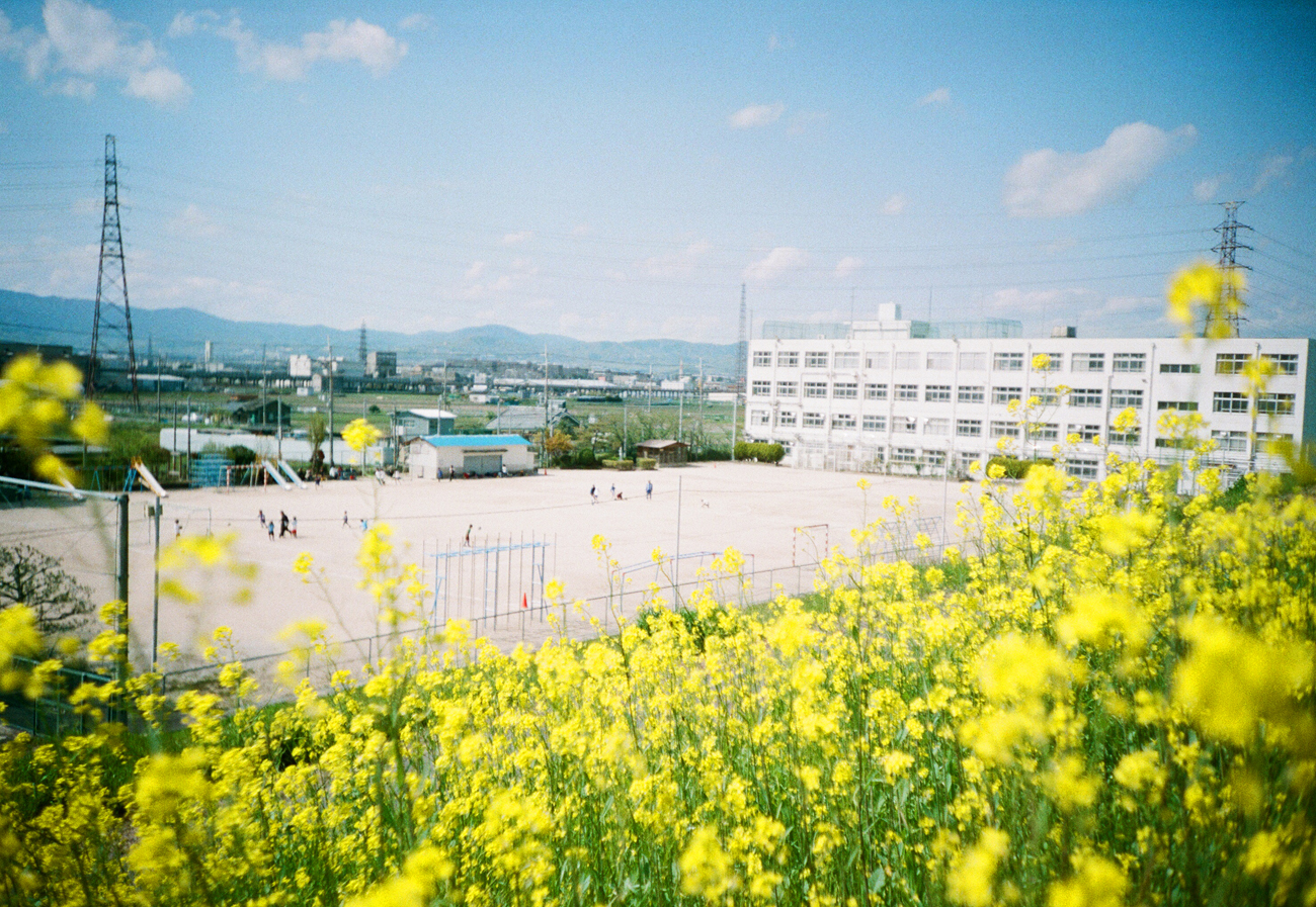 独特的情绪描绘很吸引人！ 推荐给初学者的胶片相机LOMO LC-A（+）