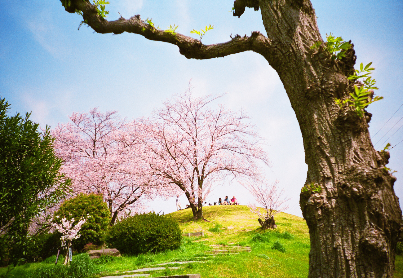 独特的情绪描绘很吸引人！ 推荐给初学者的胶片相机LOMO LC-A（+）