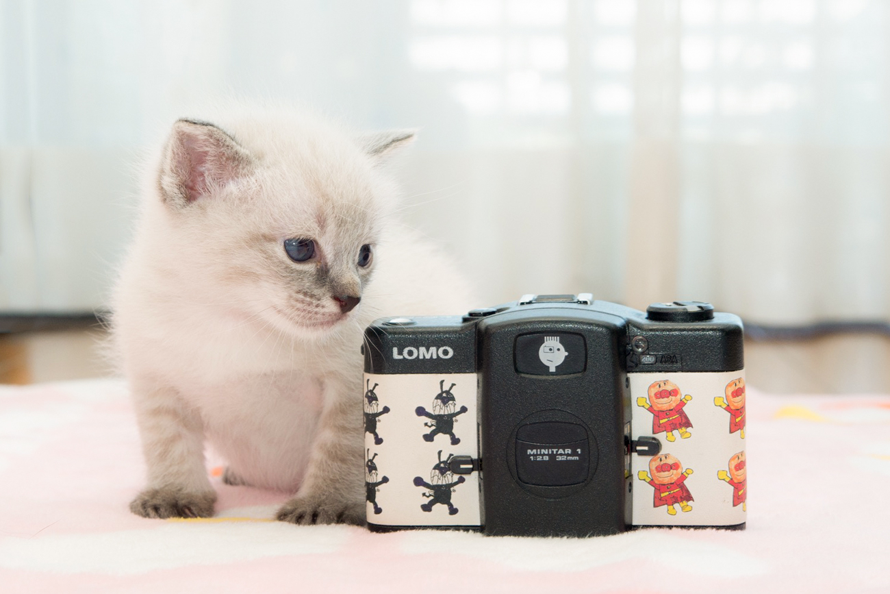独特的情绪描绘很吸引人！ 推荐给初学者的胶片相机LOMO LC-A（+）